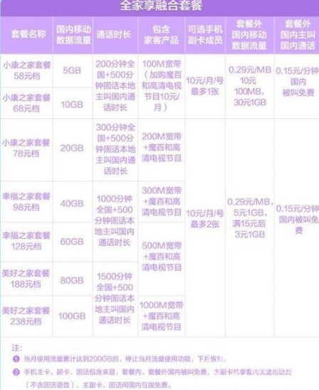 100兆移动宽带多少钱一年？